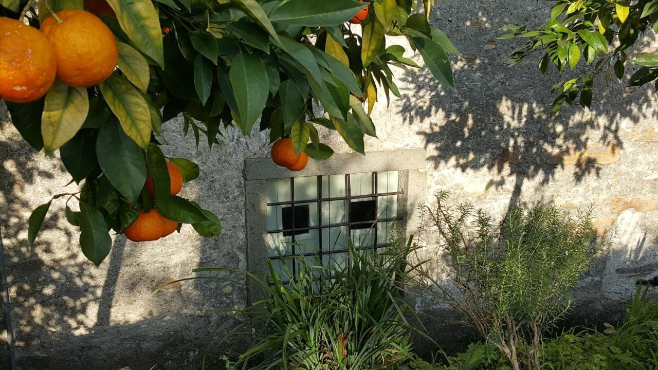 Ortonovo Casale Amati Country House מראה חיצוני תמונה
